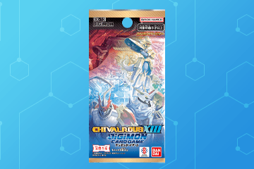 CHIVALROUS XIII [EX-13]